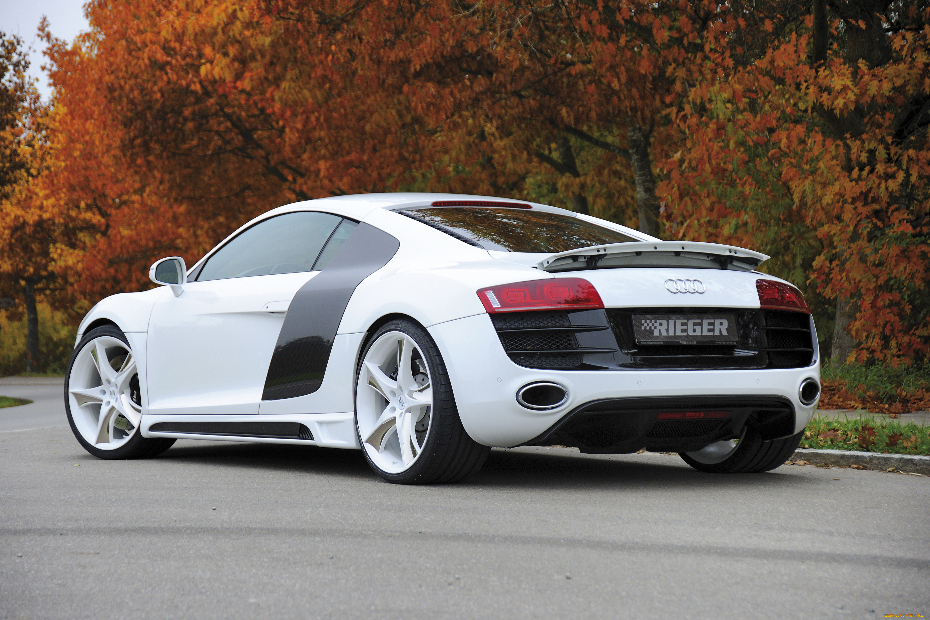 , audi